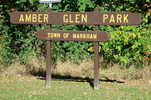 amber glen park markham ontario