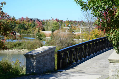 Berczy Village real estate