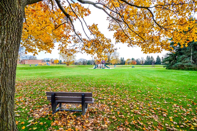 Sherwood Estates Amberglen neighbourhood park