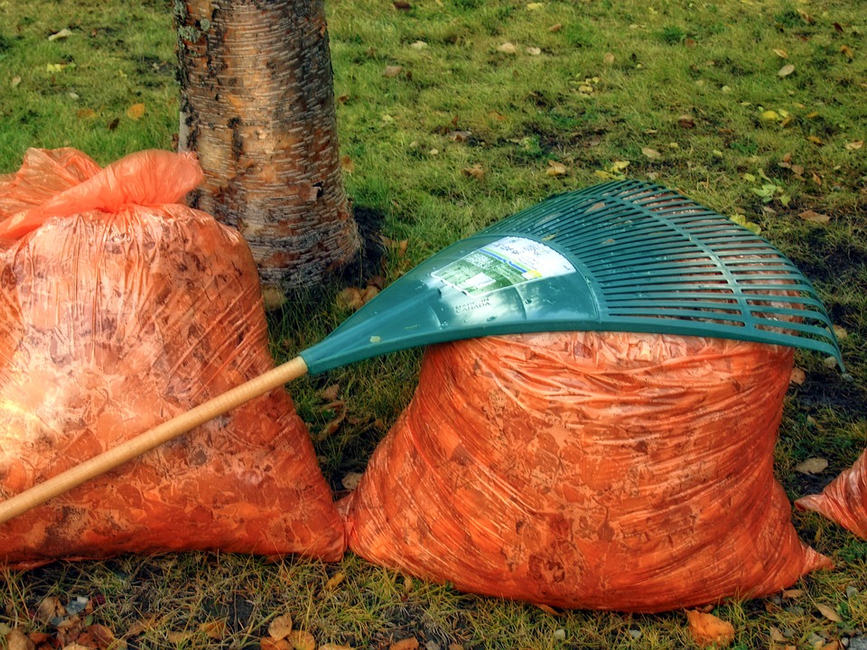 cleaning-your-markham-garden