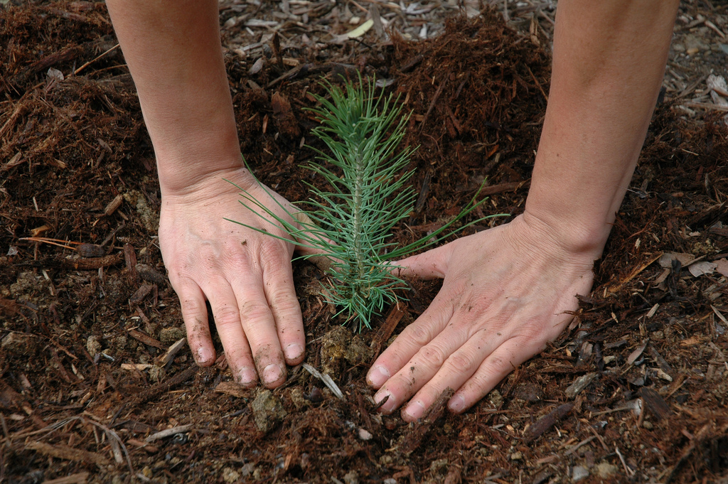 markham earth month